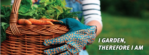 Schultz - Schultz -- Premium Soil, Plant Food, Mulch, & Fertilizer