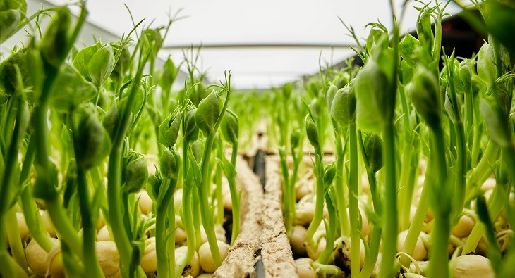 Gaia Agricultural Technology (GAT)