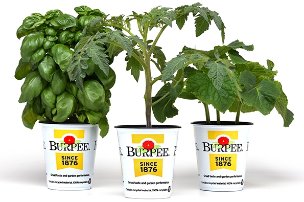 planting pot Big Cuff Planter