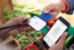 CardConnect / Green & Growin' - 
