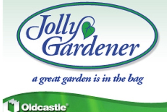 live pothos plant Golden Pothos Live Vine Plant