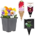 WestRock -- Tags, labels, packaging - 