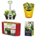 WestRock -- Tags, labels, packaging - 