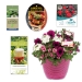 WestRock -- Tags, labels, packaging - 