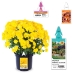 WestRock -- Tags, labels, packaging - 
