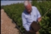 Forrest Keeling Nursery @ D.I.G. Conference! - 