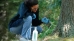 Arborjet - Tree Injection Technology - 